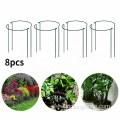tomato cage garden outdoor flower climbing plant support